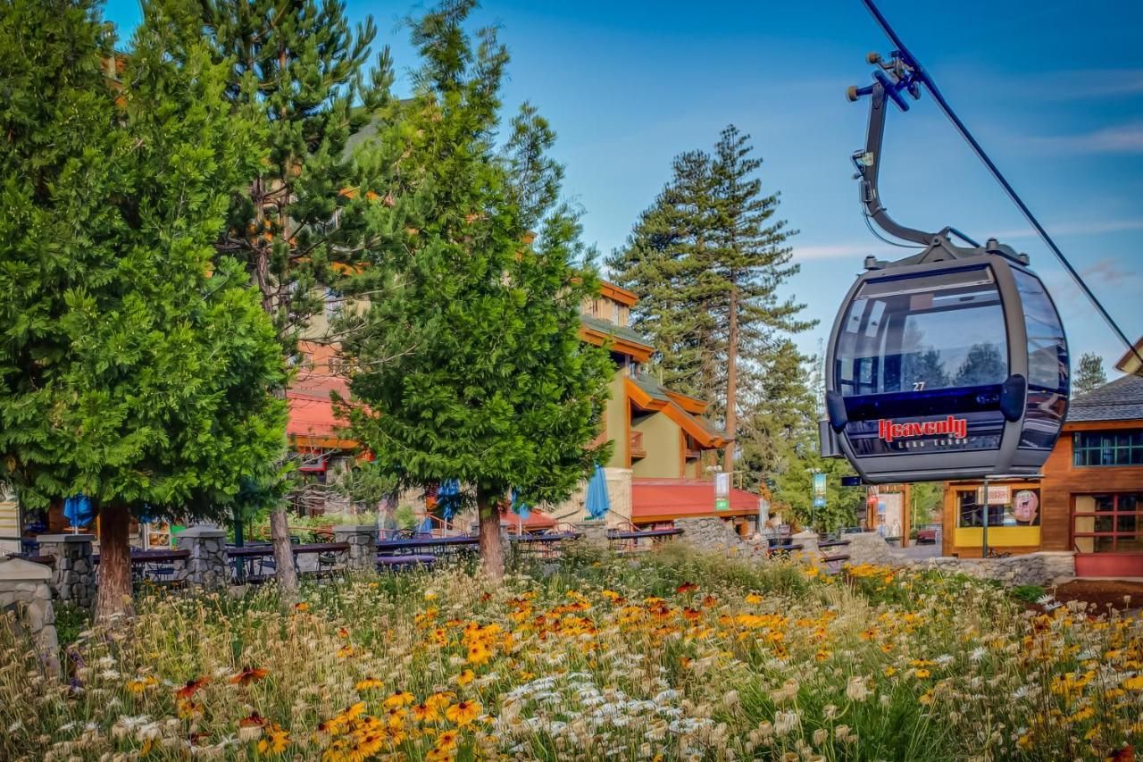 Cozy Retreat * South Lake Tahoe
